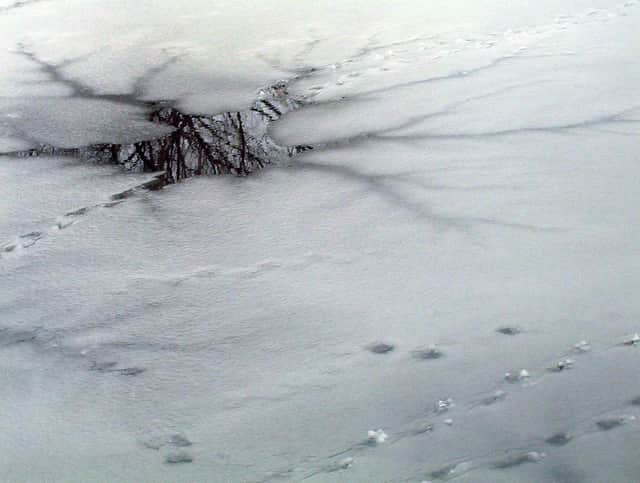 Stay away from frozen rivers.