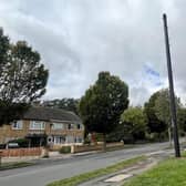 The old tech route to new technology... one of the poles in Alwyn Road.