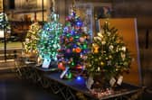 Image from the Leamington Christmas Tree Festival. Picture supplied.