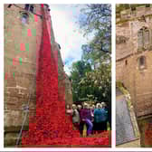 An amazing display of poppies cascading down St Mark's Church in Bilton has been unveiled.