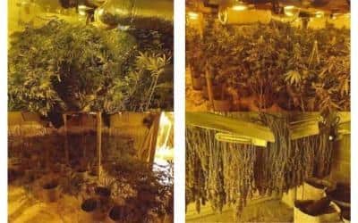 Officers from Rugby’s CID team found a cannabis factory at a property in Oxford Road, Ryton.
