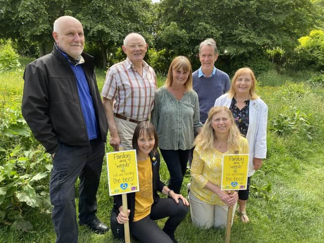Pictured on a bee friendly site in School Lane, Kenilworth from left to right Jon Holmes (WDC), Cllr Alan Rhead (WDC), Jo Harper (BFK), Diana Harris (BFK), Fern Arnold (BFK), Cllr James Kennedy (KTC), Cllr Alix Dearing (KTC). Photo supplied