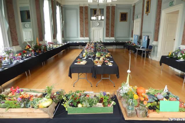 The August bank holiday weekend will see the return of the annual Warwick Horticultural and Craft Show to the town. Photo shows entries into the show in 2024. Photo by Warwick Horticultural & Allotment Society
