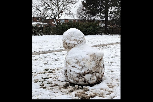 Melting snowbird on Kelvin Road Rec, Lillington.