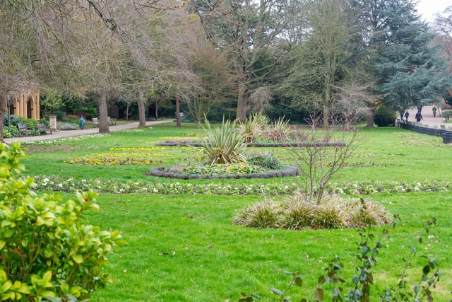 Spring bulbs have started to bloom at Jephson Gardens in Leamington.