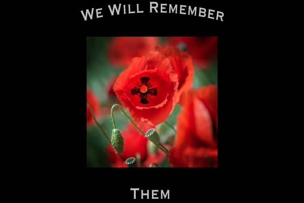 Remembrance Services will be taking place across the Warwick district. Poster by Gill Fletcher