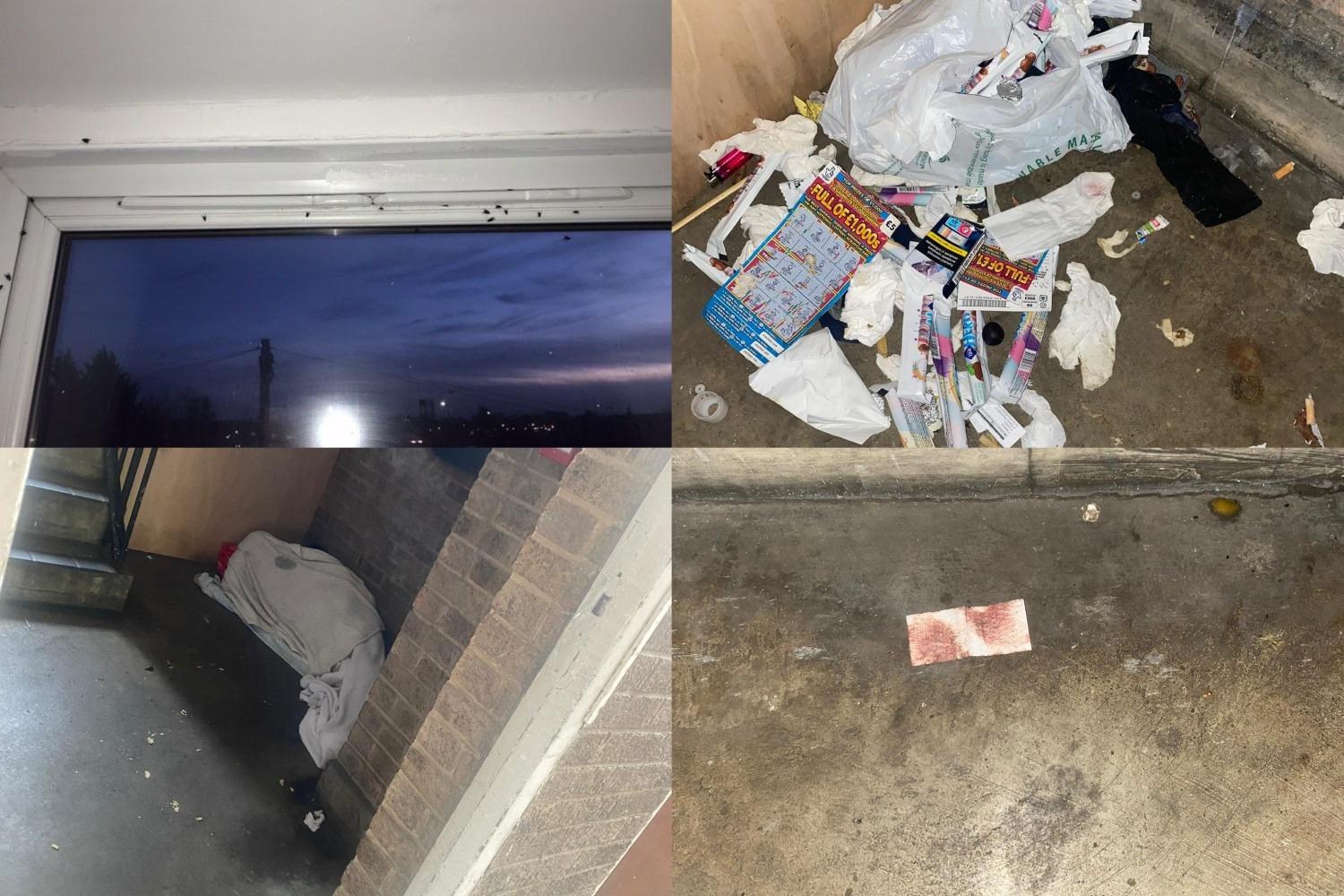 Distraught mum shares horror as two-year-old daughter was hospitalised after home became infested with rats