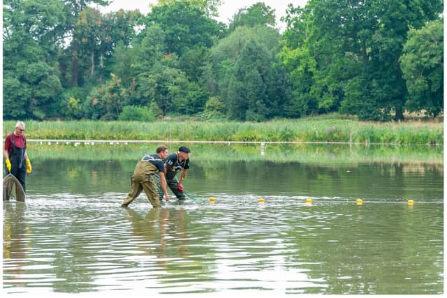 The Kenilworth community worked with staff at a fishery to help remove and relocate fish from Abbey Fields in August. Photo by Mike Baker