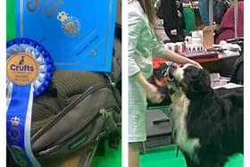 Bobb impresses judges at Crufts.
