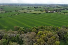 The site of the proposed quarry (photo: Andy Carpenter).