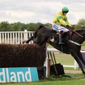Vision Des Flos clears the last in the Poundland Foundation Proudly Supports Tommys Handicap Chase
