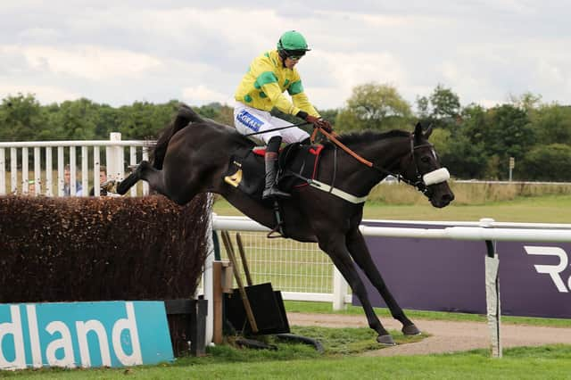 Vision Des Flos clears the last in the Poundland Foundation Proudly Supports Tommys Handicap Chase