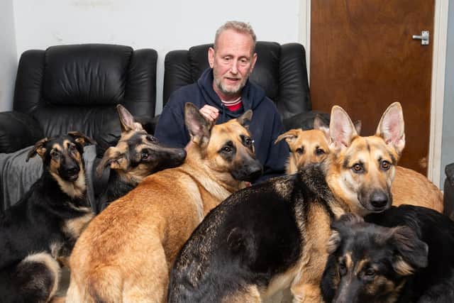 Steve Clarke with some of the eight German Shepherd dogs he owns. Picture by Mike Baker.