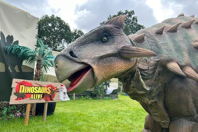 Junior Jurassic's