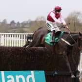 Galahad Quest jumps the last in the Feldon Dunsmore Budbrooke Handicap Chase.