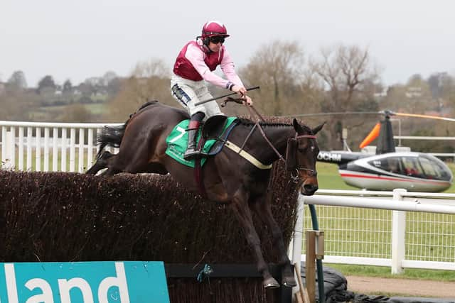 Galahad Quest jumps the last in the Feldon Dunsmore Budbrooke Handicap Chase.