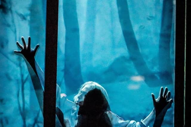 The play asks questions about the relationship between humans and nature