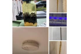 Photos of the fly problems in the South of Leamington sent in by residents.