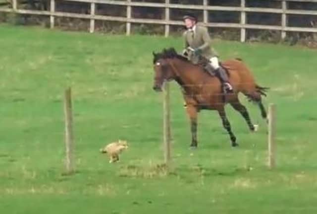 An image from the video taken by the West Midlands Hunt Saboteurs