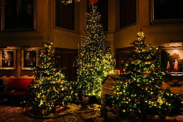 Christmas trees have brought their festive magic to Upton House.