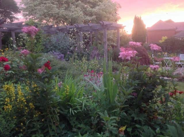 The beautiful garden at 1 Siddeley Avenue.