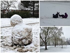 Your snow photos