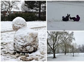 Your snow photos