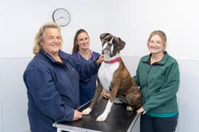 Georgie with owner Sandra Rollins (left), vet April Wall and veterinary nurse Lucy Hyde