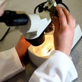 A student looks at matter under a microscope