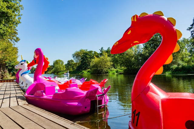 Some of the pedalos in St Nicholas Park. Photo by Mike Baker