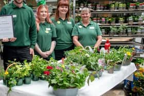 Dobbies staff will help brighten the nursing home