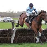 Mount Tempest clears the last in the Bet At racingtv.com Handicap Hurdle