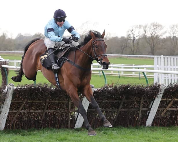 Mount Tempest clears the last in the Bet At racingtv.com Handicap Hurdle
