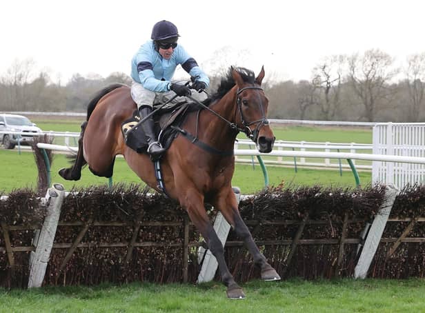 Mount Tempest clears the last in the Bet At racingtv.com Handicap Hurdle