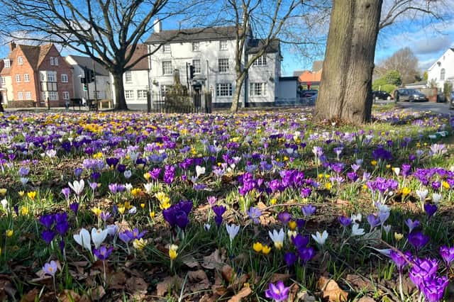 It's looking good on Bilton green...