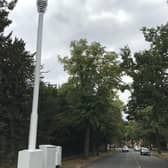 The mobile phone mast on Lillington Avenue near its junction with Lillington Road. Picture supplied.