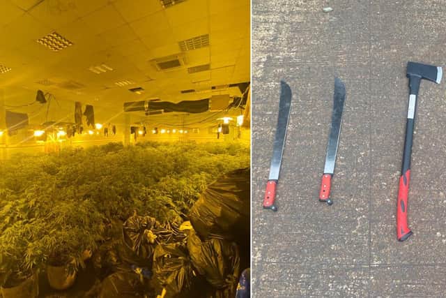 Just over 1,500 plants in total were being grown at the location - and officer also found weapons.