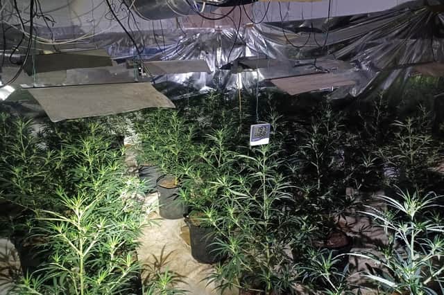 A cannabis factory has been discovered at a house in Whitnash.