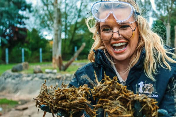 One of Britain's strangest jobs is up for grabs at a UK zoo which is searching for the world's first 'poo keeper'. Twycross Zoo is looking for a candidate with a strong stomach and good a sense of humour to fill the unique position this Halloween. Photo by Twycross Zoo / Leopard Co / SWNS