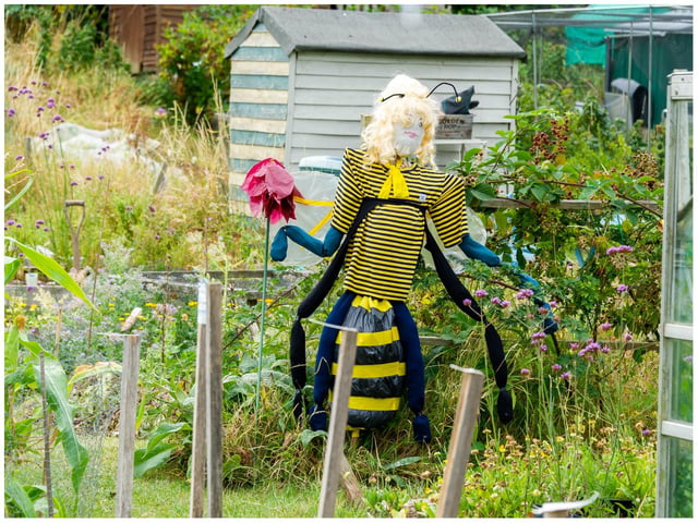 One of the scarecrows created ahead of the open day. Photo by Mike Baker