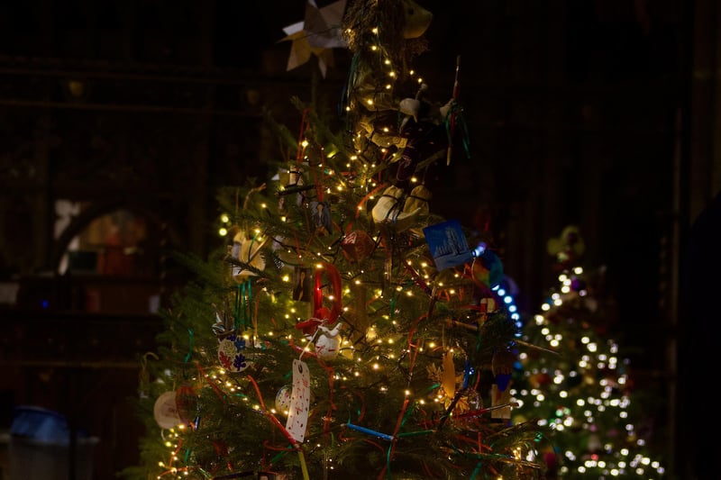 The launch of the Leamington Christmas Tree Festival 2023. Photo by John Bray.