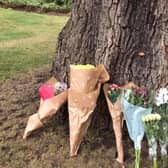 Floral tributes in the park. Picture: Shirley Ann Hough