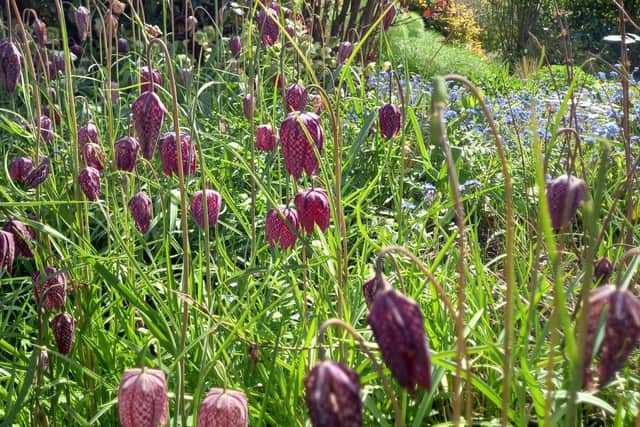 Christine Dakin's Garden in Napton.