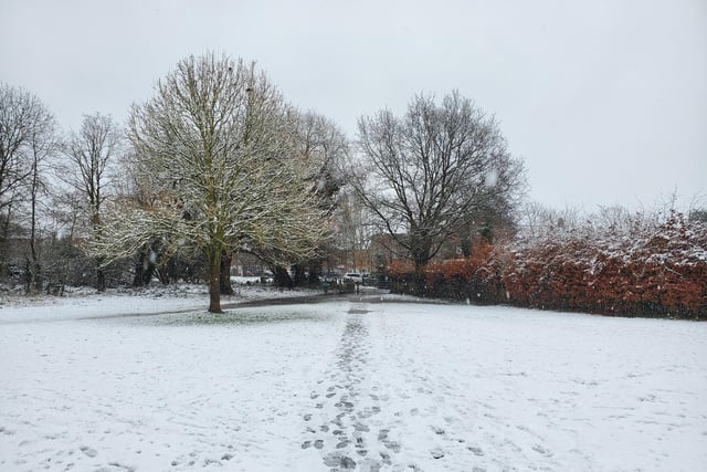 Snow on Priory Park