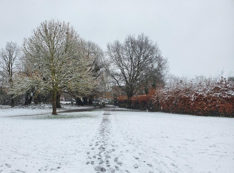 Snow on Priory Park