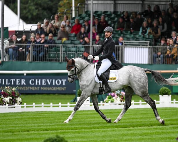 Max Warburton riding DEERPAIRC REVELRY for GBR  in the Dressage stage of the Defender Burghley Horse Trials, held in the Deer Park of Burghley House in Stamford.