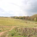 The site where the new Tachbrook Country Park will be located. Picture supplied by Warwick District Council.