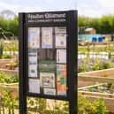 The community gardens at Houlton