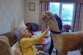 Making new friends.