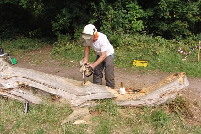 Carver Graham Jones was seen making sculptures out of a dead wood in Priory Park. Photo by Geoff Ousbey